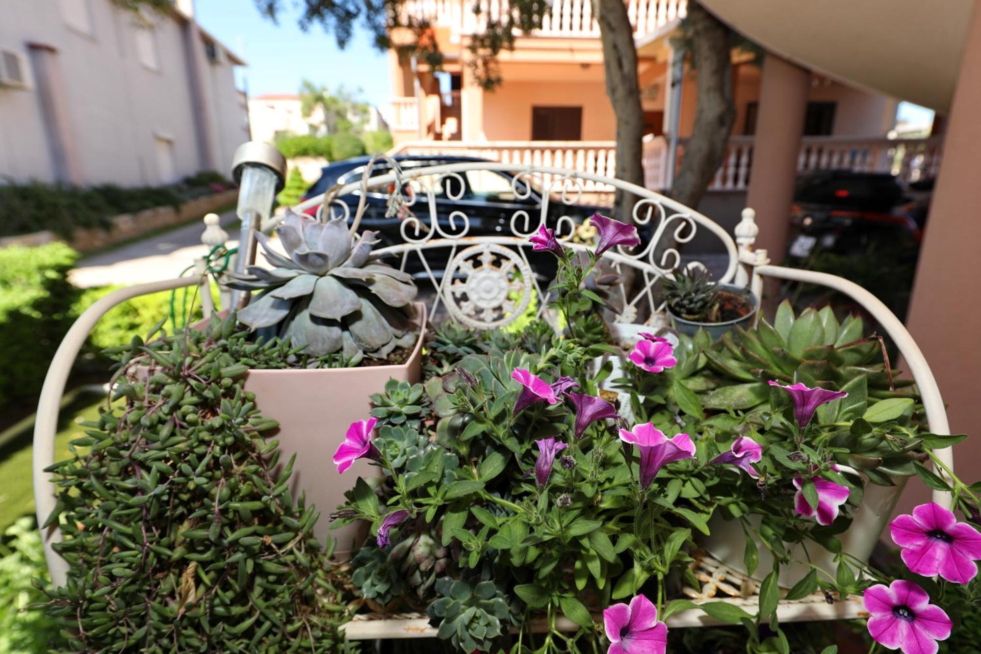 Villa Dalmatino Pakoštane Exterior foto